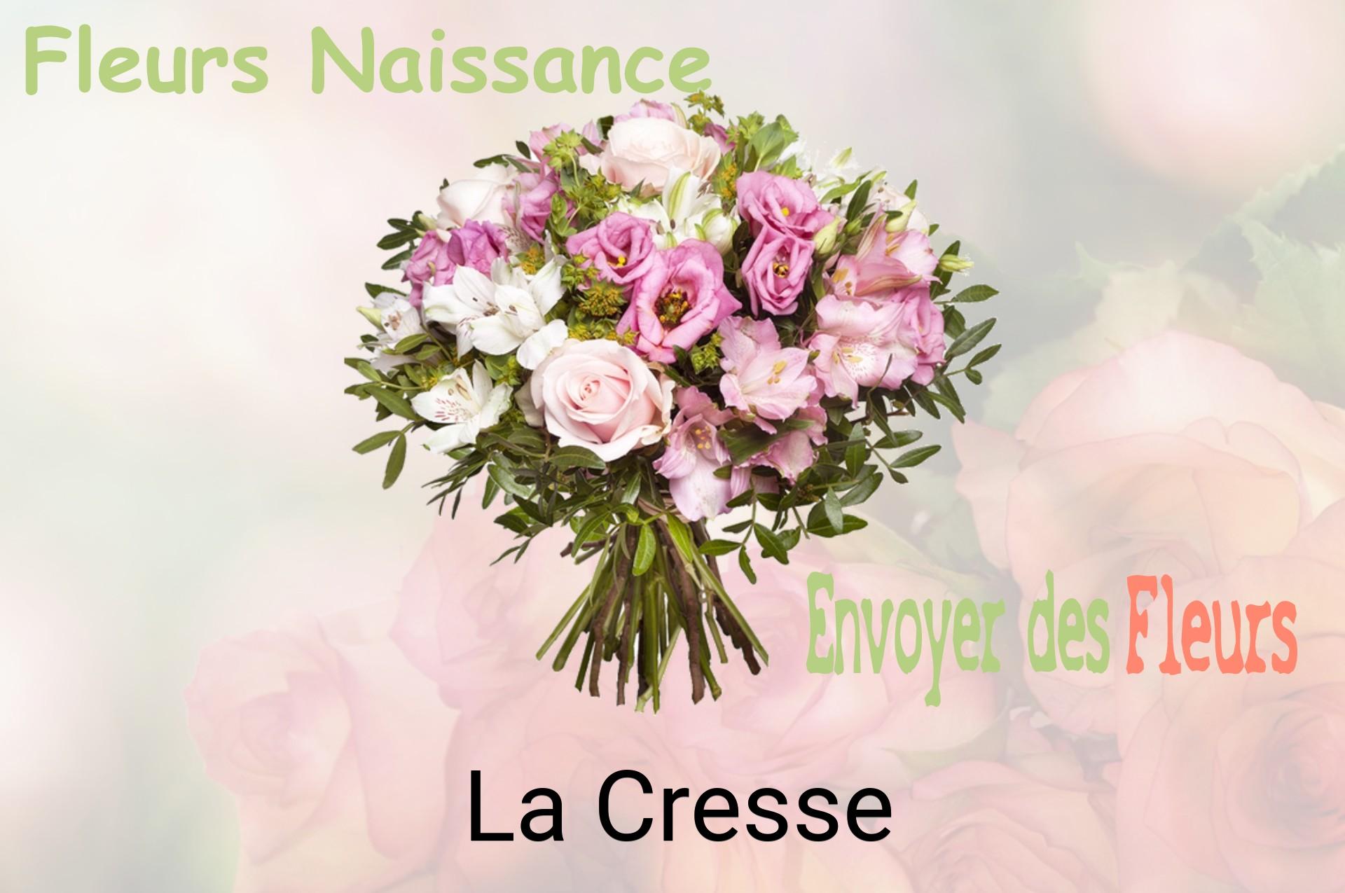 Bouquet de fleurs de naissance livré à La Cresse