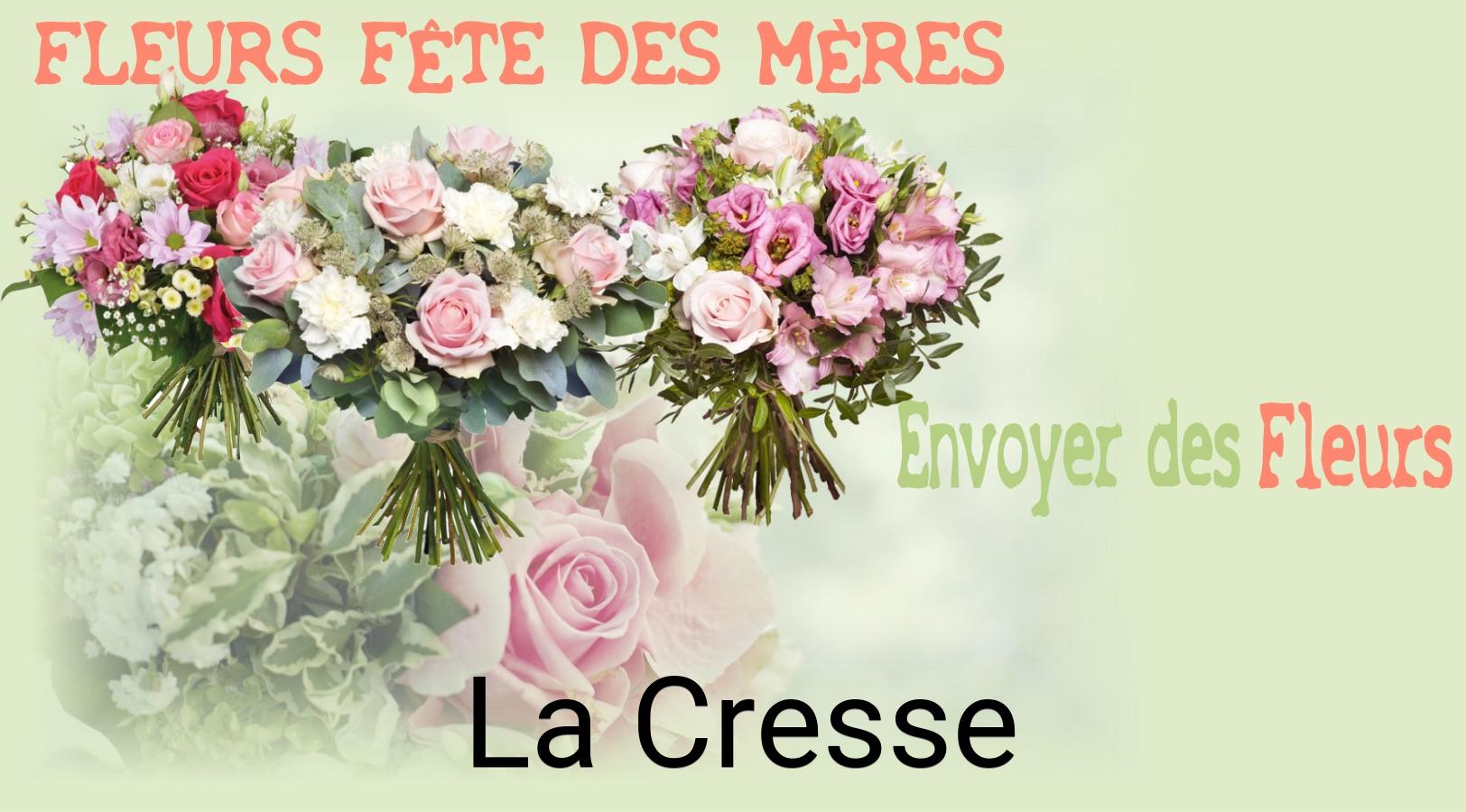 Bouquet de Fête des Mères livré à La Cresse