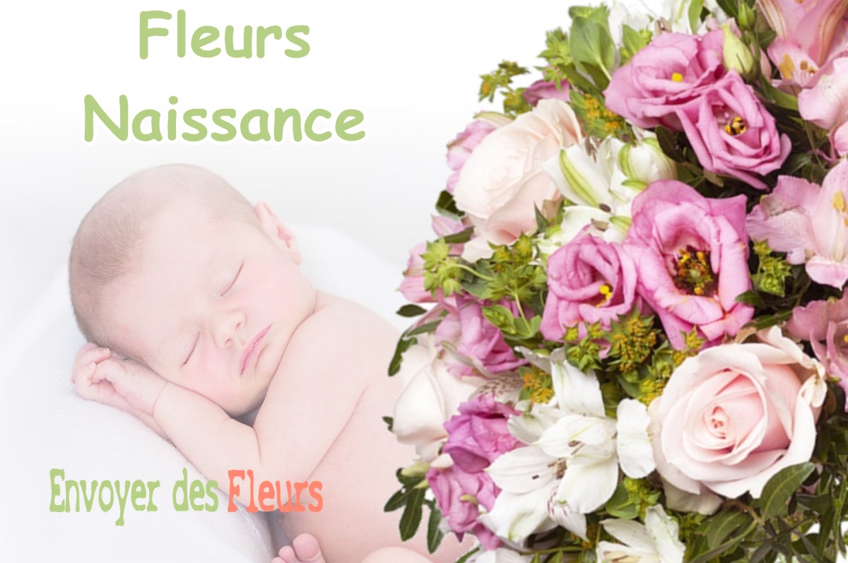 lIVRAISON FLEURS NAISSANCE à LA-CRESSE